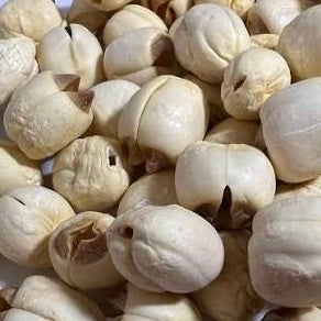 Common Lotus Seed